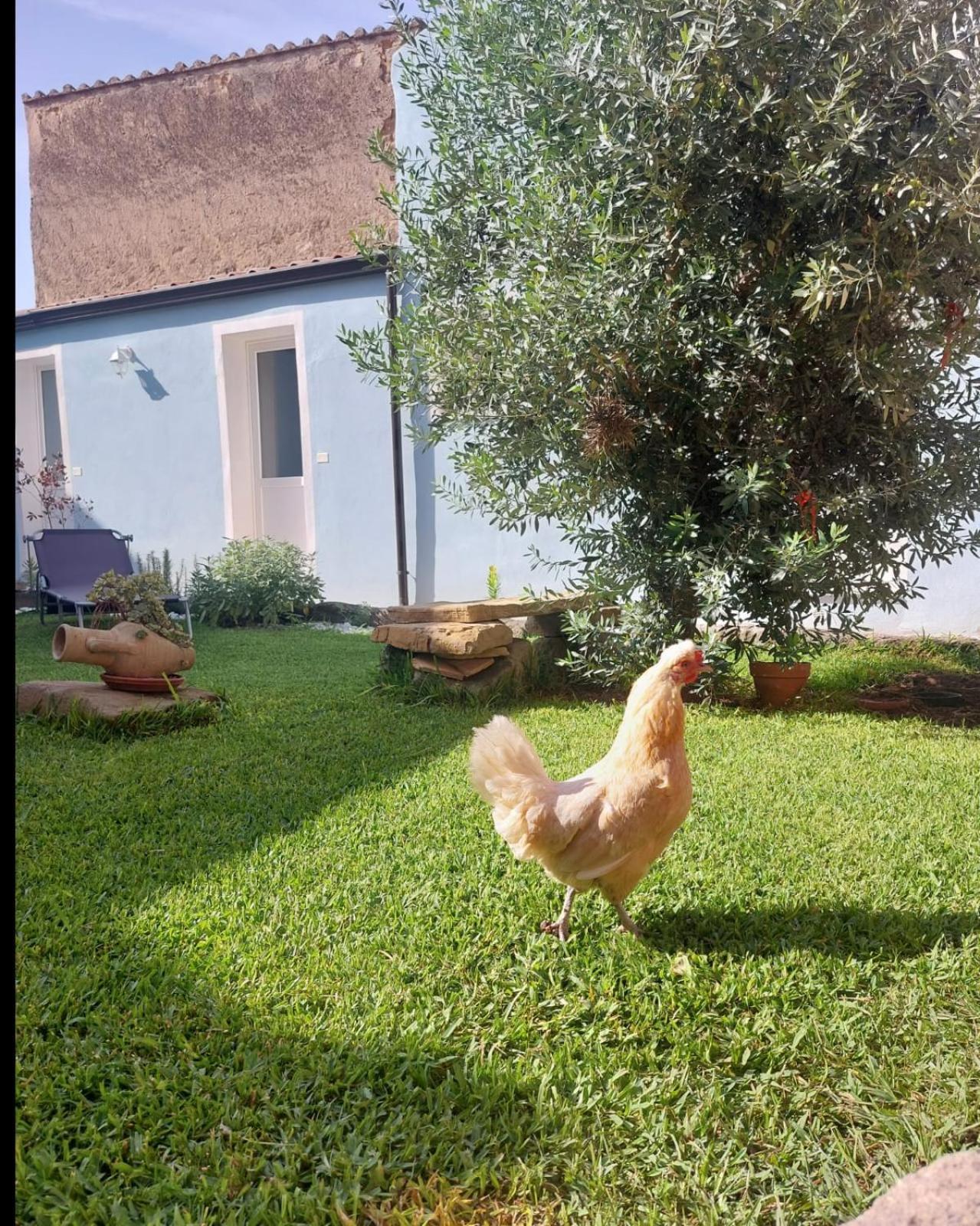 B&B Il Borgo Delle Emozioni Dolianova Εξωτερικό φωτογραφία